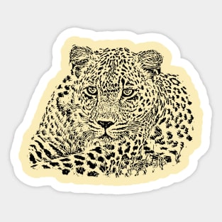 Leopard portrait Sticker